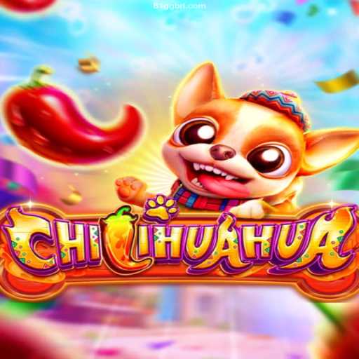 Discover the Thrills of CHILIHUAHUA: A Brazilian Gaming Sensation